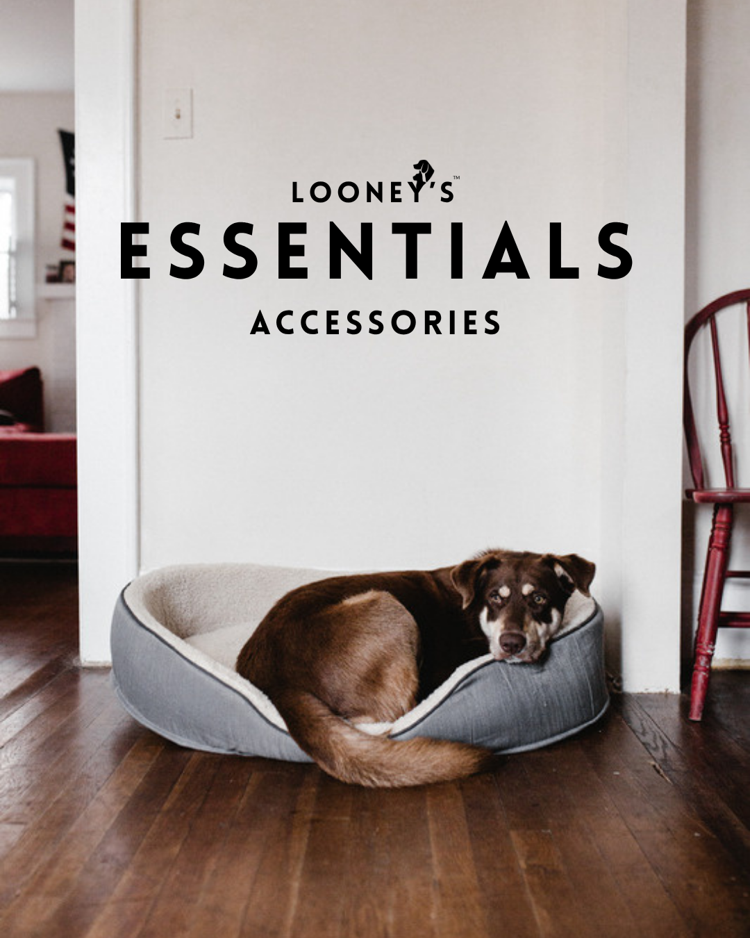 Looney's Essentials