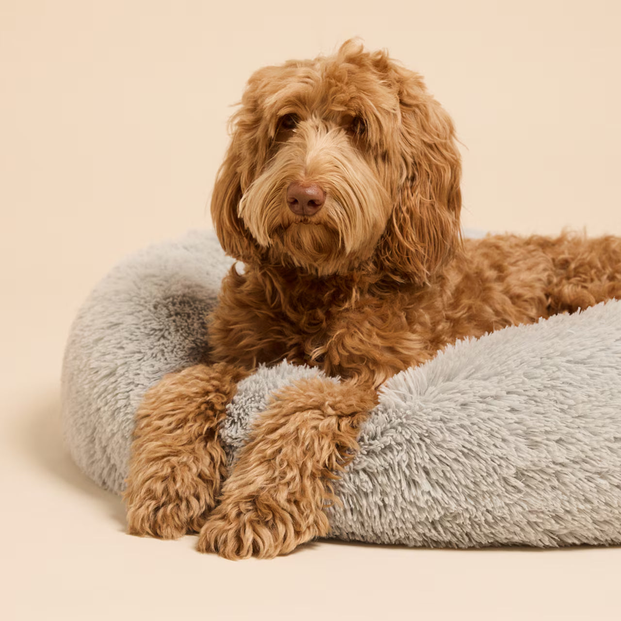 Dog Bed Spira