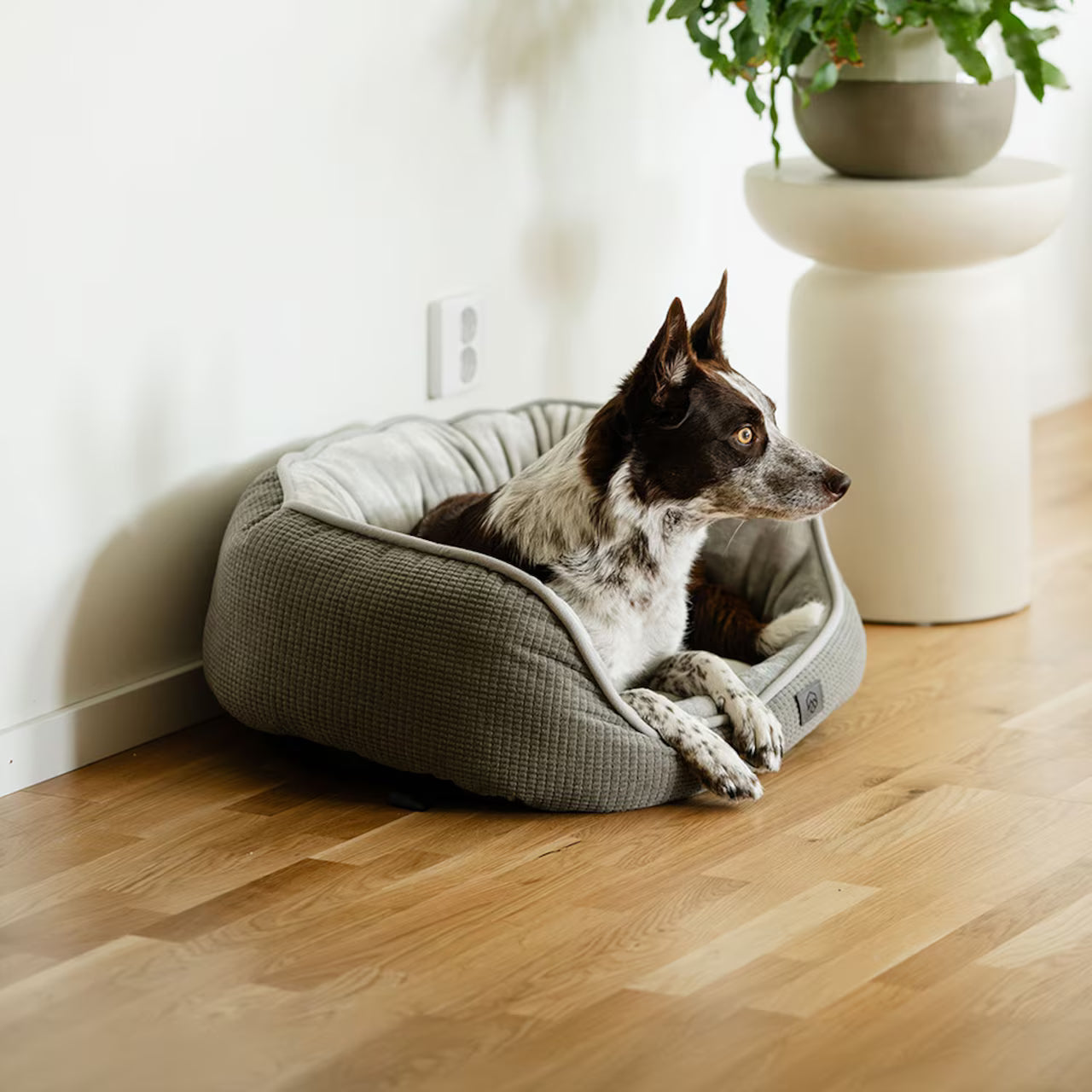 Dog Bed Dreamer Luxe