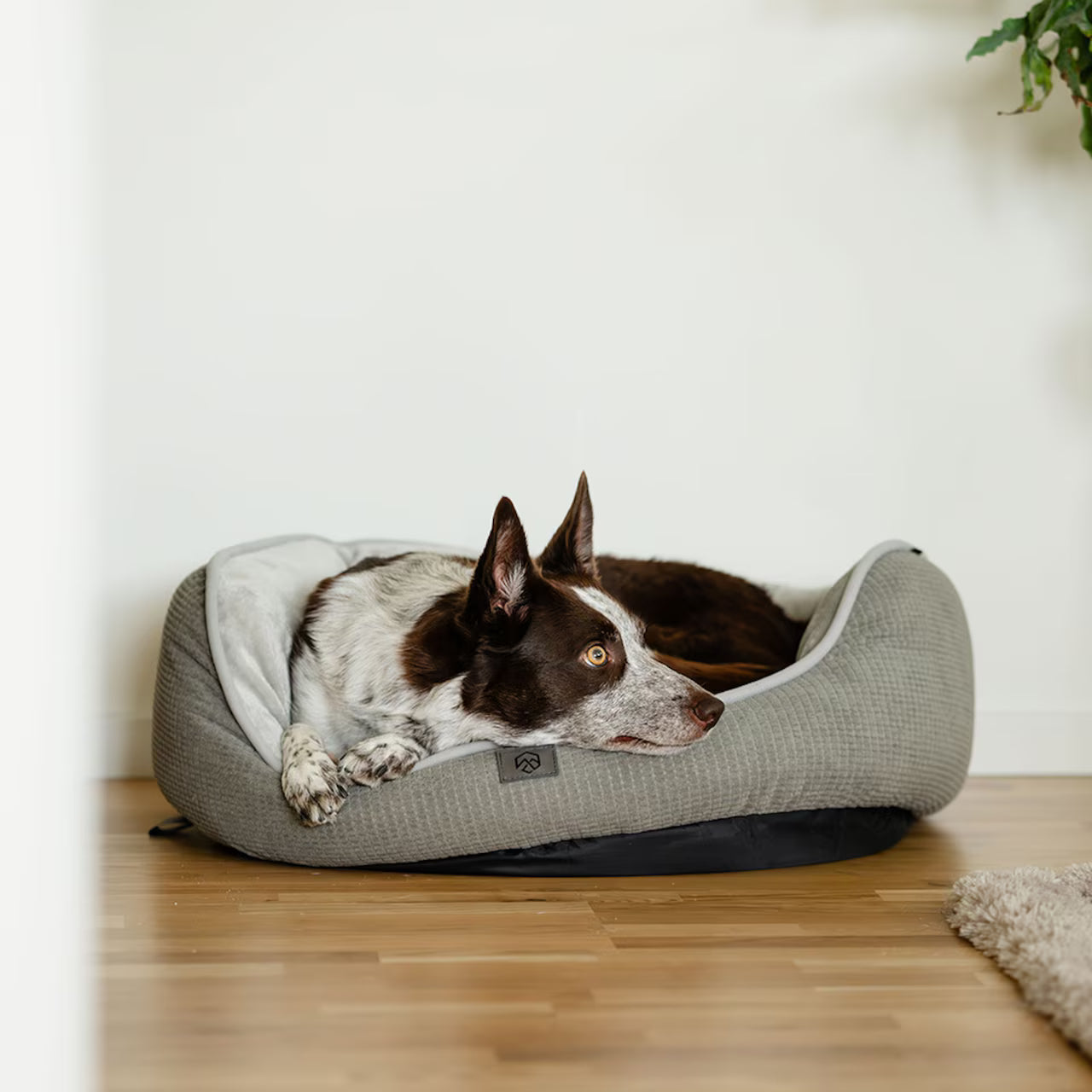 Dog Bed Dreamer Luxe