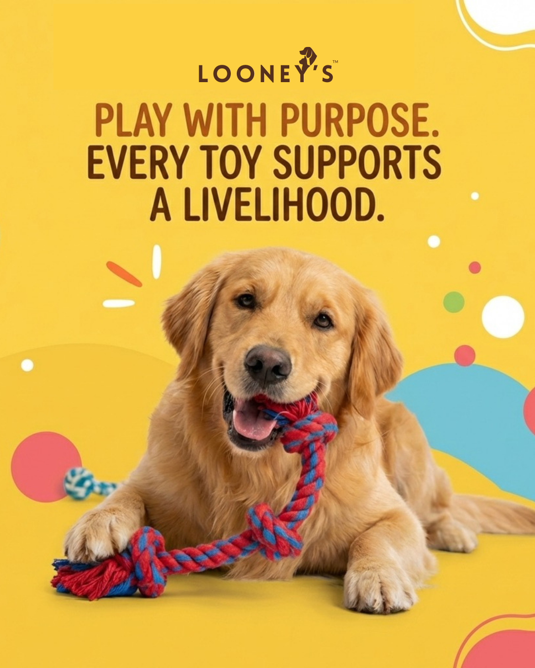 Puppy Play Essentials Chew-Rope Toy Set