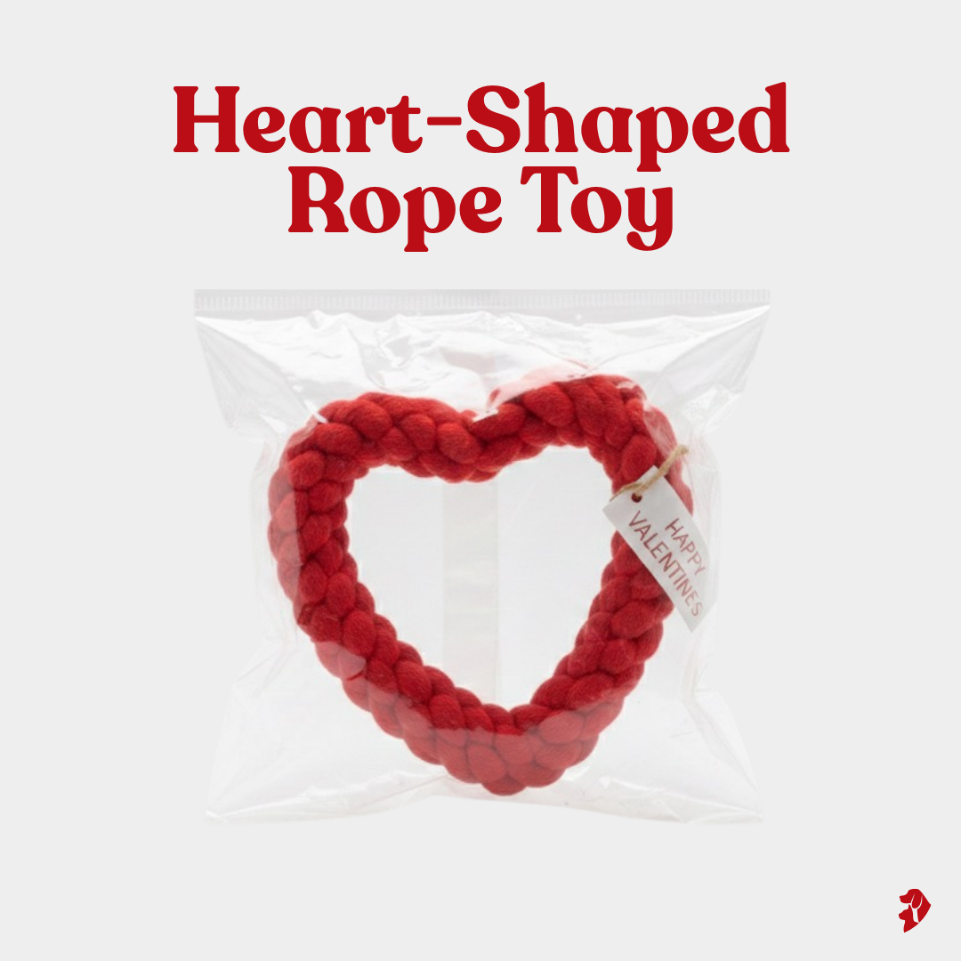 "Puppy Love" Dual-Knot Heart Rope Toy