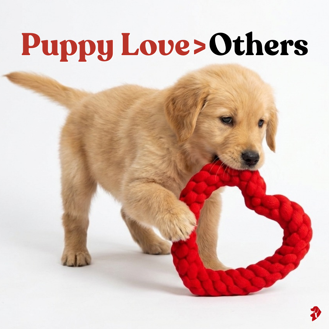 "Puppy Love" Dual-Knot Heart Rope Toy