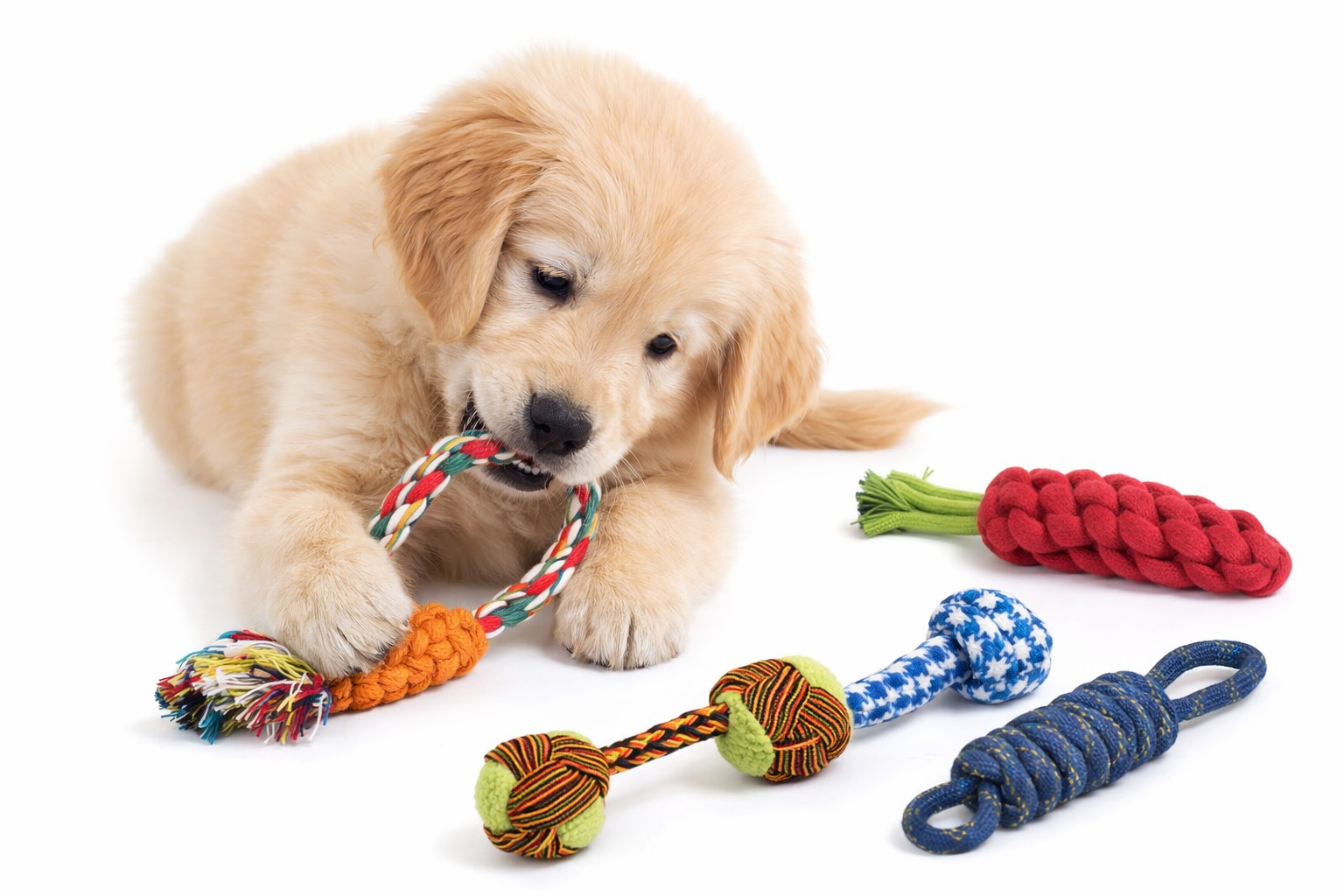 Puppy Play Essentials Chew-Rope Toy Set