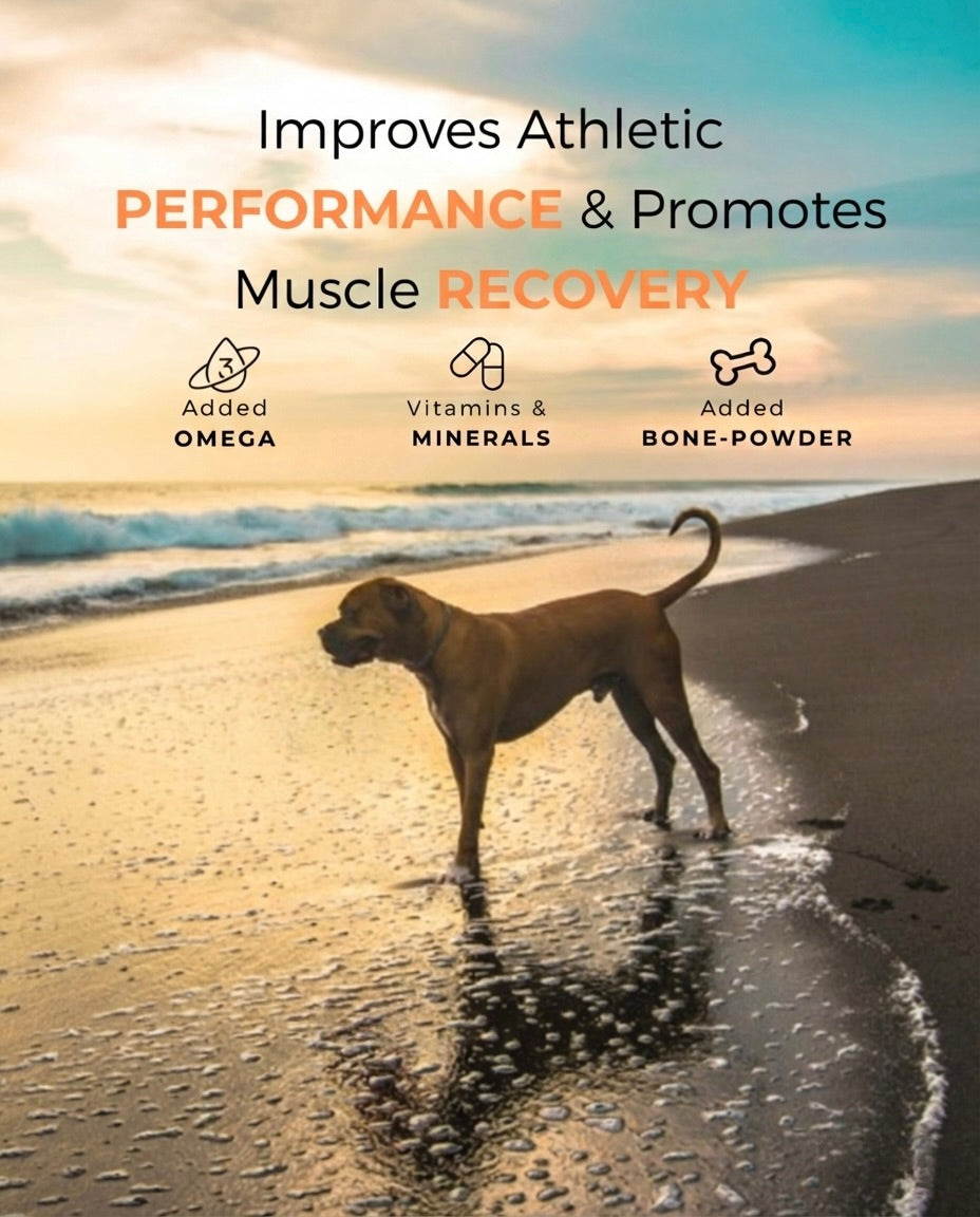 Looneys Ultimate Performance 3kg Adult Dry Kibble