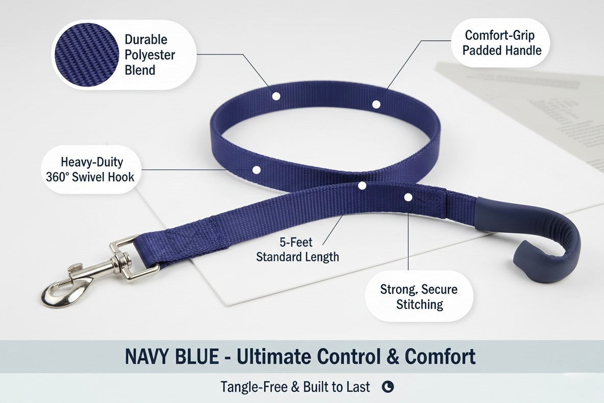 Looney's Walk Essentials Combo of Leash, Collar & Harness