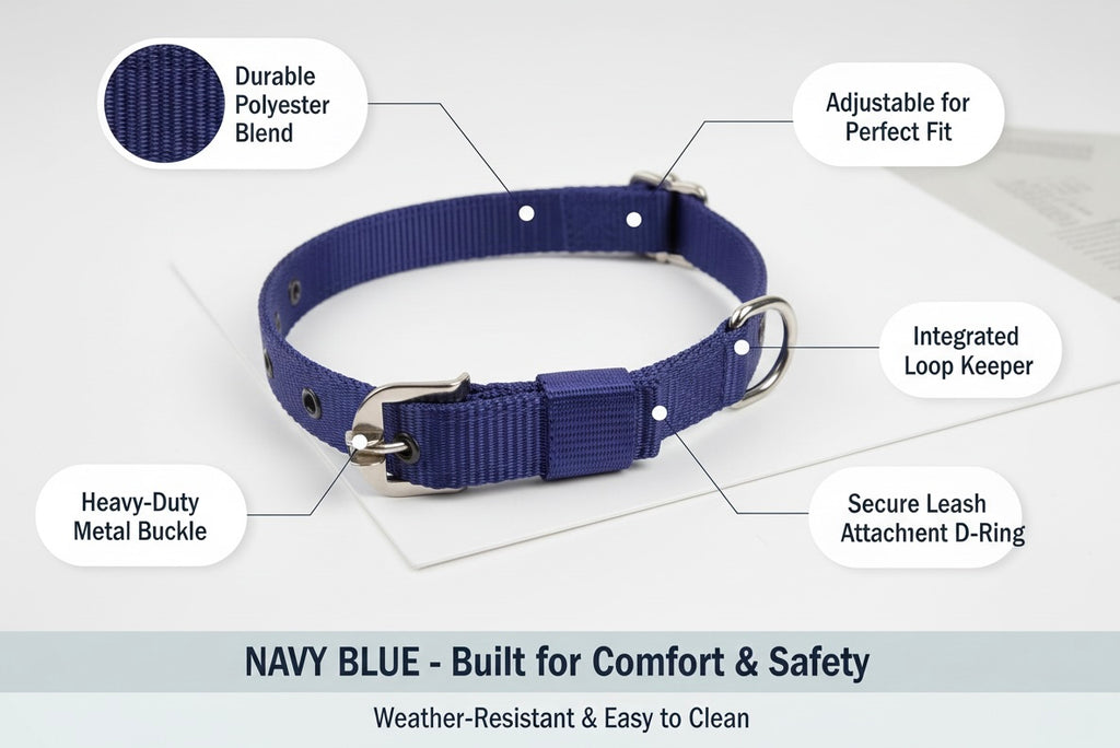 Looney's Walk Essentials Set of Collar & Leash