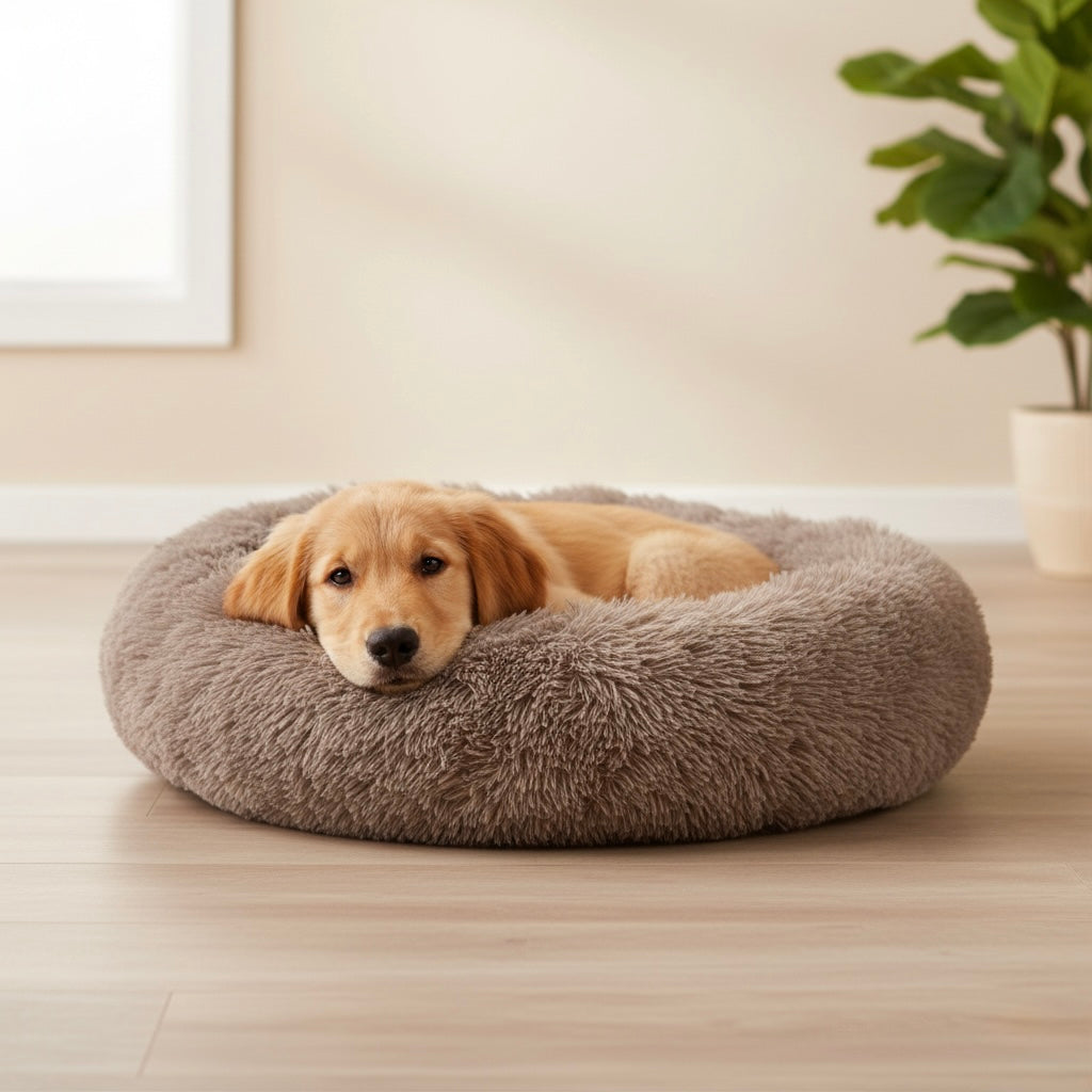 Dog Bed Spira